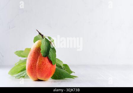 Reife, nasse Birne williams mit grünen Blättern auf weicher weißer Holzplatte. Süße Sommerfrüchte. Stockfoto