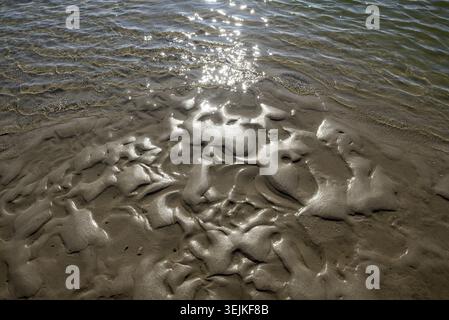 Detaillierte Ansicht des grauen, welligen Wattens in der Nordsee bei Ebbe und Abfluss Stockfoto