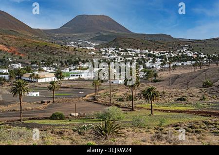 Haria, Tal der 1000 Palmen, Lanzarote, Kanarische Inseln, Spanien Stockfoto