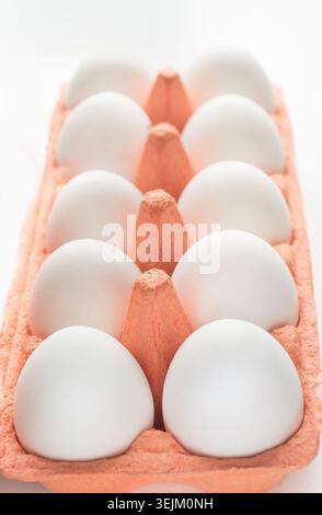 Bio-Weiße Eier in Eierbox. Nahaufnahme. Stockfoto