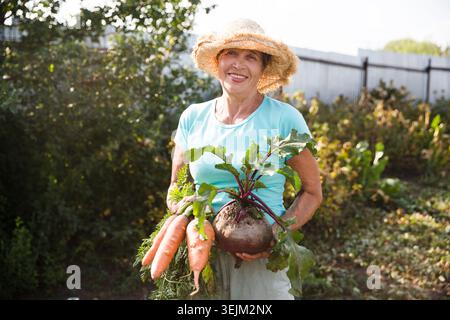 Ältere Frau mit frisch geernteten Karotten und Rüben im Garten. Gesundes Lebensmittelkonzept. Ernte. Lokales Unternehmen Stockfoto