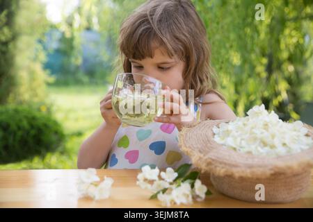 Das Kind sammelt im Sommer Jasminblüten und trinkt Jasmintee an einem Tisch im Garten. Aromatherapie und Spa-Konzept. Stockfoto