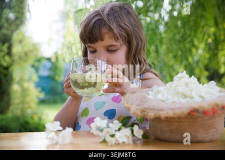 Das Kind sammelt im Sommer Jasminblüten und trinkt Jasmintee an einem Tisch im Garten. Aromatherapie und Spa-Konzept. Stockfoto