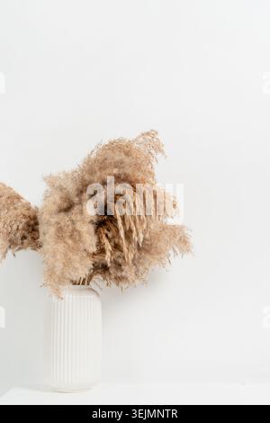 Weiße Vase mit trockenen Blumen über weißer Wand Stockfoto