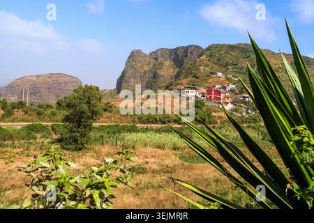 012-112022-653 Stockfoto