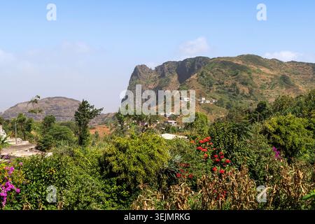 012-112022-648 Stockfoto