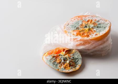 Hässlicher Schimmel orange auf Grau. Nahaufnahme. Unsachgemäße Lagerung von Früchten in Cellophan. Stockfoto