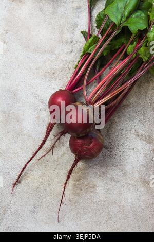 Frische Bio-Rüben auf Vintage-Tisch. Draufsicht. Stockfoto