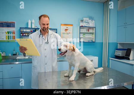 Mitfühlender Tierarzt untersucht einen glücklichen Hund in einer hellen Klinik Stockfoto