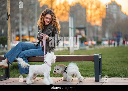 Junge Frau, die kleine Hunde im Stadtpark bei Sonnenuntergang läuft Stockfoto