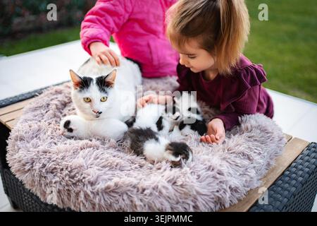 Mädchen, die mit Mutterkatze und neugeborenen Kätzchen im Haustierbett interagieren Stockfoto