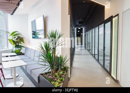 Moderner Bürobereich mit komfortabler Couch, elegantem Tisch, stilvollen Stühlen und verschiedenen grünen Pflanzen. Der Raum ist gut beleuchtet und ordentlich eingerichtet. Stockfoto