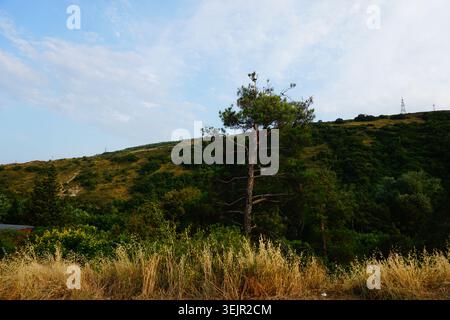Tiflis, Georgien: Landschaft auf dem Weg vom Turtle Lake zum Svan Tower Stockfoto