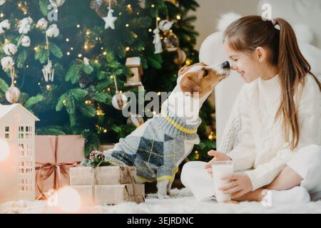 Happy Girl Bonding with Dog neben dem Weihnachtsbaum zu Hause, der Milch in gemütlichem Holiday Wohnzimmer mit Geschenken und Lichtern hält Stockfoto