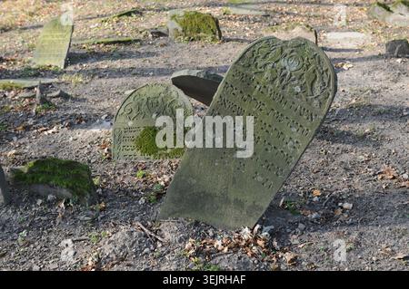 Historische jüdische Grabsteine mit hebräischen Inschriften auf dem alten jüdischen Friedhof in Nowy Żmigród, Woiwodschaft Podkarpackie, Polen Stockfoto