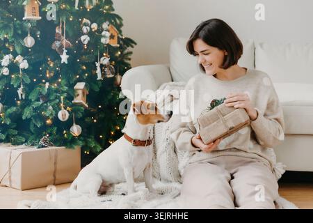 Junge Frau hält Weihnachtsgeschenk neben Jack Russell Terrier in der Nähe von dekoriertem Baum zu Hause Stockfoto