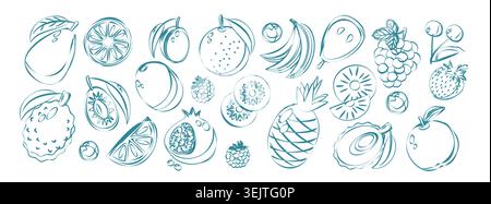 Sketch Elements Kollektion aus Früchten und Beeren. Abstrakte geometrische Linienart Elemente Frucht Illustration. Formen natürlicher Bio-Öko-Landbau-Zitrusfrüchte. Stock Vektor