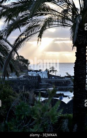 Sonnenstrahlen, die in der Abenddämmerung durch Wolken über dem Atlantischen Ozean brechen, eingerahmt von Palmen an der Küste von Funchal, Madeira, Portugal Stockfoto