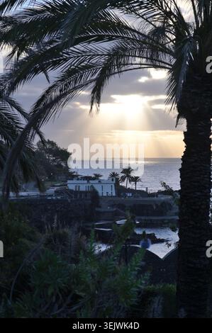 Sonnenstrahlen, die in der Abenddämmerung durch Wolken über dem Atlantischen Ozean brechen, eingerahmt von Palmen an der Küste von Funchal, Madeira, Portugal Stockfoto
