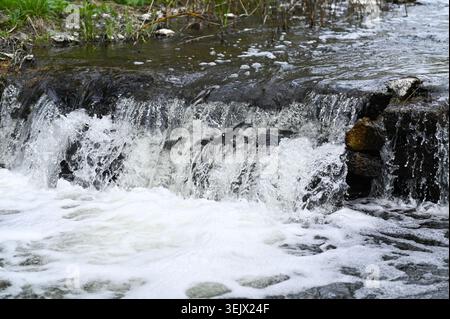 Der schnelle Wasserfall fließt über dunkle Felsen im Frühlingswald im Freien. Strömendes Wasser erzeugt weißen Schaum und Blasen. Natürliche Flusspflanzen sorgen für Powder Stockfoto