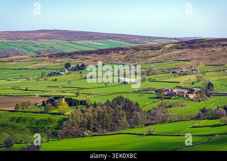 Der North York Moors National Park oberhalb von Castleton, North Yorkshire, England, Großbritannien Stockfoto