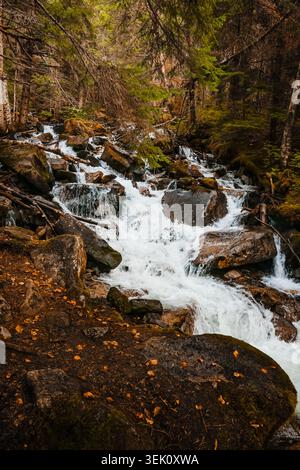 Vertikale Ansicht eines schnell fließenden Wildnis-Baches, der über große moosige Steine fällt, stimmungsvoll grüner Alaska-Regenwald-Bach mit langer Belichtungsbewegung blu Stockfoto