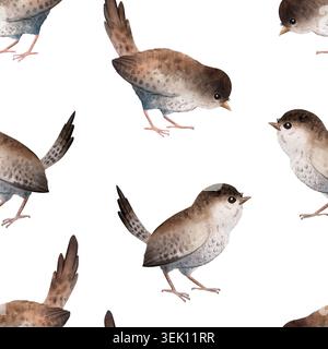 Nahtloses Aquarellmuster mit niedlichen Zwitschern in verschiedenen Posen. Handgemaltes Waldvogeldesign isoliert auf hellem Hintergrund Stockfoto