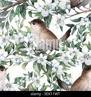Nahtloses Aquarellmuster mit Zaunvögeln und Jasminzweigen mit weißen Blumen. Handgemalt isoliert auf Hintergrund Stockfoto
