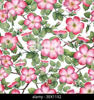 Nahtloses Aquarellmuster mit blühenden Hagebuttenzweigen, rosa Blüten und roten Beeren. Handgemalt isoliert auf Hintergrund Stockfoto