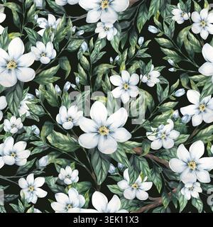Nahtloses Aquarellmuster mit Jasminzweigen, weißen Blumen, grünen Blättern auf dunklem Hintergrund. Handgemaltes botanisches Design Stockfoto