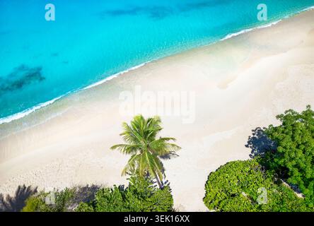 Blick aus der Vogelperspektive auf die wunderschönen Strände von Antigua und Barbuda mit türkisfarbenem Meer und Kokospalmen, Turners Beach Stockfoto