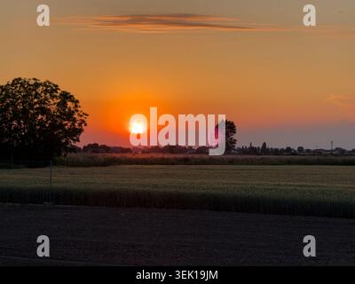 Die feurige Sonne, die unter dem Horizont fällt, färbt den Himmel in warmen Orange- und Goldtönen und beleuchtet ein riesiges landwirtschaftliches Feld mit Silhouettenbäumen und Stockfoto