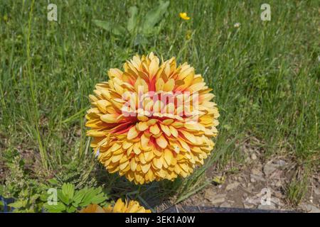 Buntes Blumenbeet im Siegener Schlossgarten Stockfoto