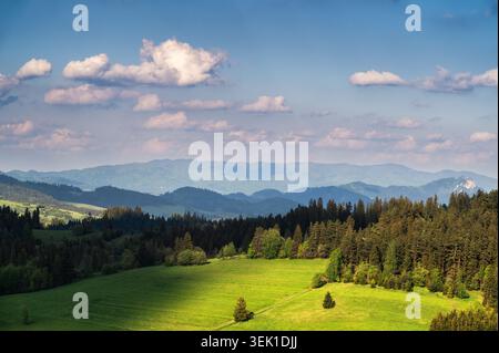 Panoramablick aus der Vogelperspektive von Litwinka aus mit sanften grünen Tälern und Wiesen, durchsetzt von Nadelwäldern. Wunderschöne malerische Landschaft mit vib Stockfoto