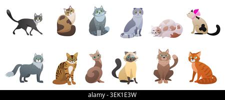 Sammlung von niedlichen Hauskatzen in verschiedenen Posen und Fellmustern, mit Zeichentricktier-Charakteren, Rasse-Vielfalt und Katzentieren isoliert auf weißem Hintergrund Vektor-Illustration Stock Vektor