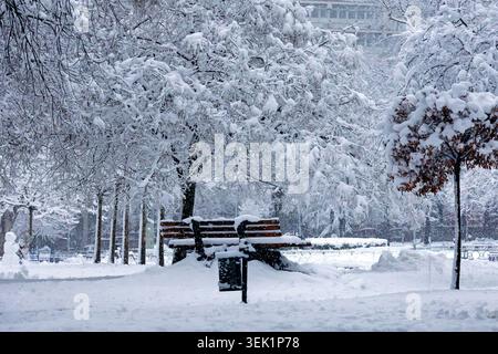 Tress innerhalb der Stadtparklandschaft, die im Winter mit starkem Schnee bedeckt ist Stockfoto