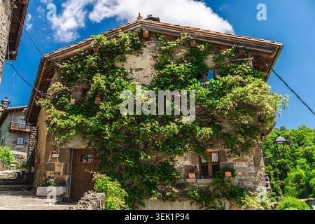 Historisches Steinhaus mit üppigen Kletterpflanzen im mittelalterlichen Dorf Rupit, Katalonien, Spanien Stockfoto