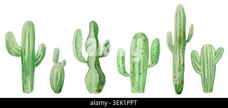 Green Cactus Aquarellkollektion handgemalt traditionell auf isoliertem weißem Hintergrund Stockfoto