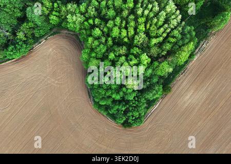 Top-Down-Drohne, die über einen Wald und ein Ackerland geschossen wurde. Stockfoto