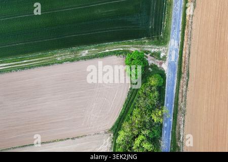 Asphaltstraße und bewirtschaftete Felder auf einem Drohnenfoto von oben nach unten Stockfoto
