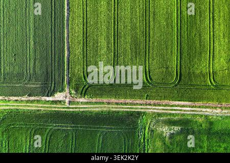 Top-down-Landschaft mit grünen Ackermöbeln und Linien. Stockfoto
