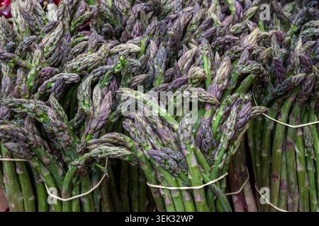 Bündel frischer grüner und violetter Spargelspangen, die mit einer Schnur verbunden sind, werden an einem französischen Marktstand im Freien in Uzes Market, Frankreich, ausgestellt Stockfoto