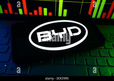 BYD-Logo wird auf dem Mobiltelefon mit Hintergrund des Aktienmarkt-Performance-Diagramms und der Schnittstelle für Handelsdiagramme angezeigt Stockfoto