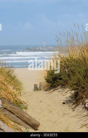 Wanderweg in den Sanddünen in der Nähe des Meeres an einem bewölkten Tag das Konzept der Ruhe und Einsamkeit Stockfoto