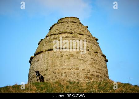 Dunure Castle, Ayr, Überreste einer mittelalterlichen Küstenfestung Stockfoto