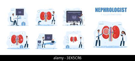 Das Konzept des Nephrologen. Sammlung verschiedener weiblicher Arztfiguren. Urologie und Nephrologie. Vektor-Illustration in flachem Cartoon-Stil Stock Vektor