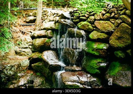 Kleiner Waldwasserfall, Der Über Mossy Rocks Fließt Stockfoto