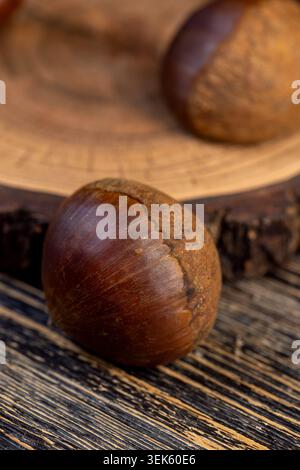 Eine Kastanie mit einer braunen Schale auf dem Schnitt, eine dichte Kastanie liegt auf der Oberfläche eines Baumes mit einem radialen Riss und einem klaren Muster von Holzfasern. Stockfoto