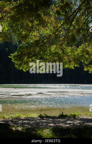 Das Sonnenlicht scheint durch grüne Äste über einem ruhigen See mit sprudelndem Wasser und einem dunklen Waldgrund und schafft eine friedliche Naturszene. Stockfoto