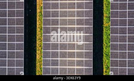 Nahaufnahme von Sonnenkollektorzeilen mit grüner Vegetation Stockfoto